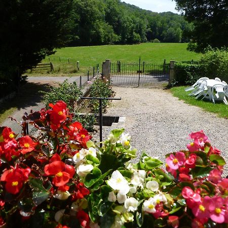 Gite Le Moulin Pres De Tarbes, Lourdes, Bagneres De Bigorre Mascaras Extérieur photo